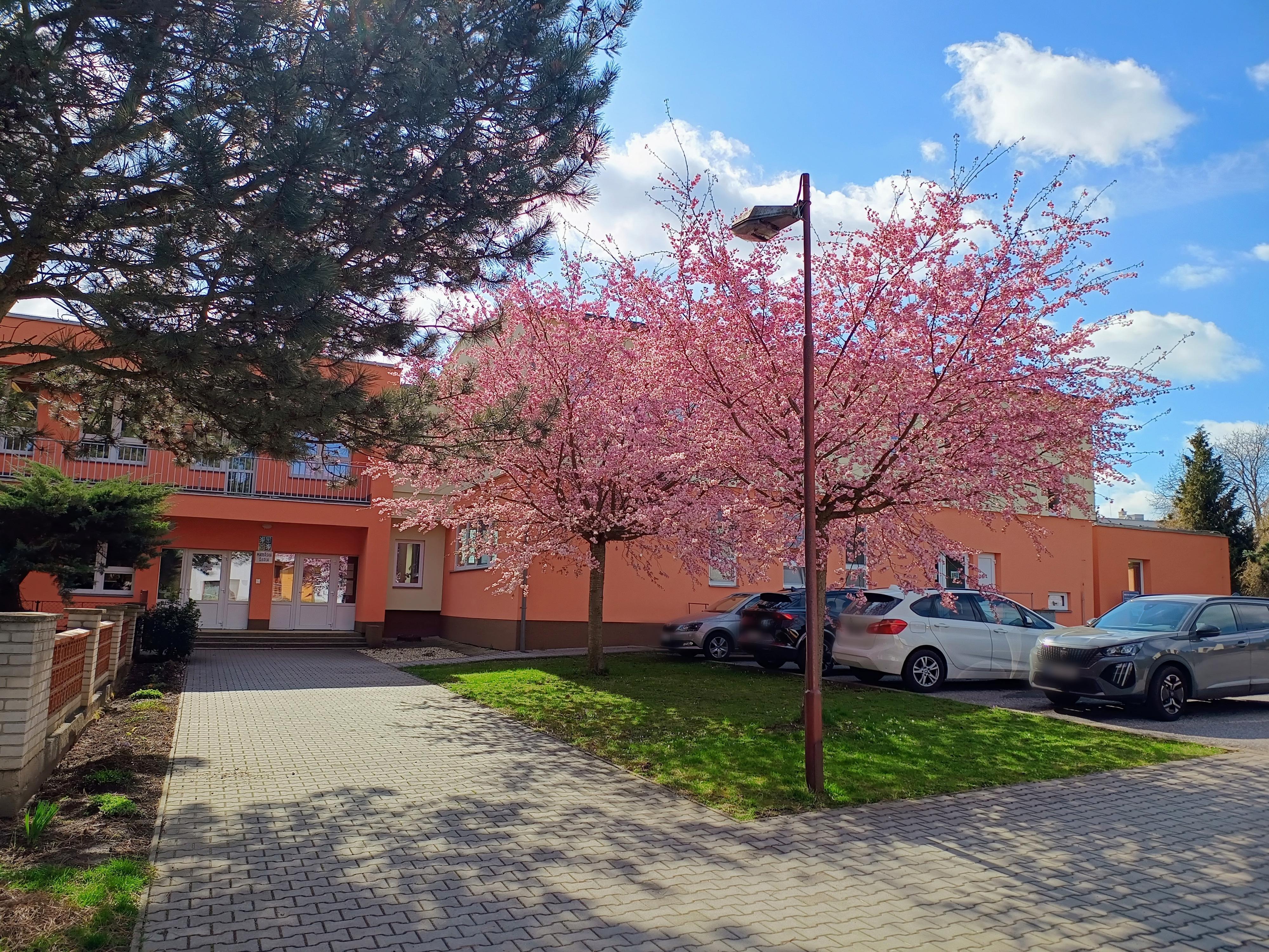 MŠ Křenovice